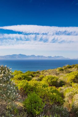Cape Town Güney Afrika 'daki Fynbos Flora ile sahil dağ manzarası