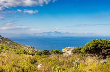 Cape Town Güney Afrika 'daki Fynbos Flora ile sahil dağ manzarası