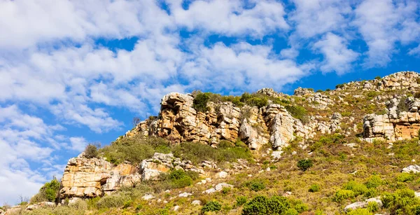 Прочный Горный Ландшафт Кустарниковой Флорой Кейптауне Южная Африка — стоковое фото