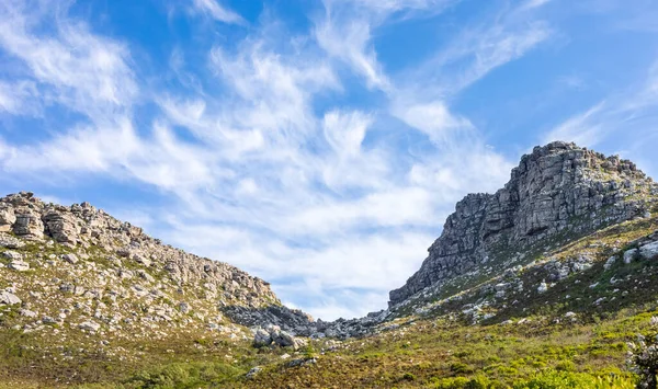 Robusto Paesaggio Montano Con Flora Macchia Fynbos Città Del Capo — Foto Stock