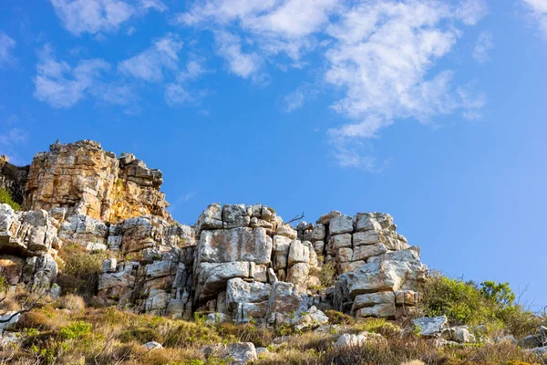 Drsné Horské Krajiny Fynbos Křoviny Keře Flóra Kapském Městě Jižní — Stock fotografie