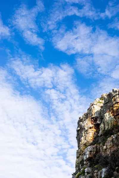 Paisagem Montanhosa Acidentada Com Fynbos Esfregar Flora Arbusto Cidade Cabo — Fotografia de Stock