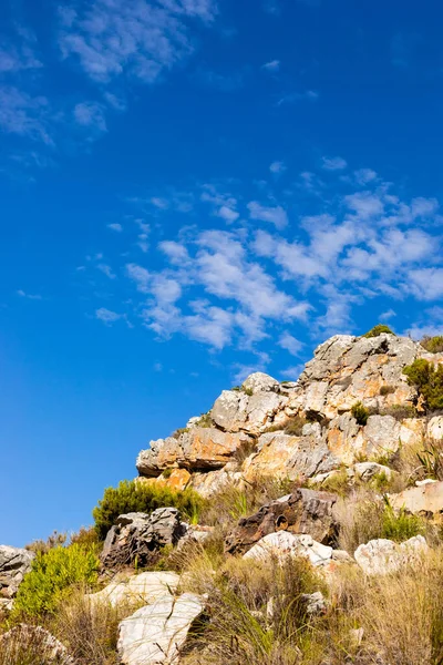 Robuust Berglandschap Met Fynbos Struikflora Schrobben Kaapstad Zuid Afrika — Stockfoto