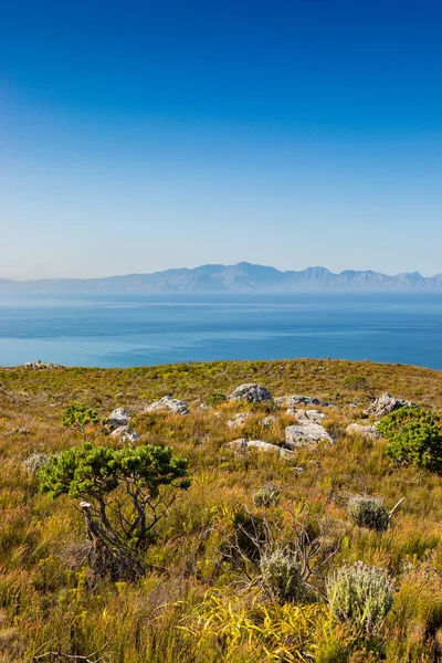 Cape Town Güney Afrika 'daki Fynbos Flora ile sahil dağ manzarası