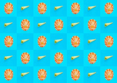 Damalı mavi arkaplan üzerindeki deniz kabuklarının düz duvar kağıdı arkaplan resmi