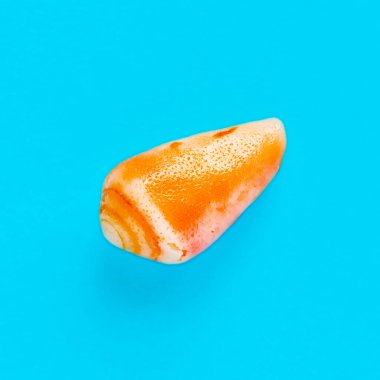 Açık mavi bir arka planda deniz kabuğunun izole edilmiş görüntüsü yatıyordu.