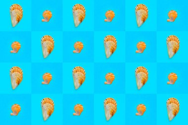 Damalı mavi arkaplan üzerindeki deniz kabuklarının düz duvar kağıdı arkaplan resmi