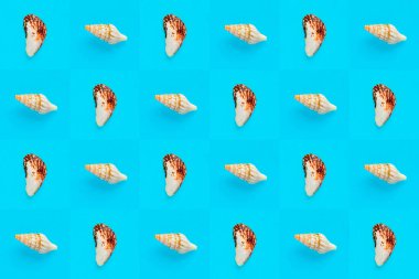 Damalı mavi arkaplan üzerindeki deniz kabuklarının düz duvar kağıdı arkaplan resmi