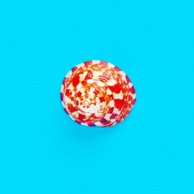 Açık mavi bir arka planda deniz kabuğunun izole edilmiş görüntüsü yatıyordu.