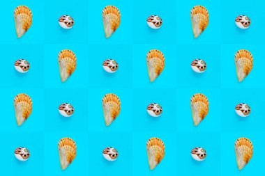 Damalı mavi arkaplan üzerindeki deniz kabuklarının düz duvar kağıdı arkaplan resmi