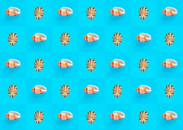 Flat Lay wallpaper background image of coastal seashells on a checkered blue background
