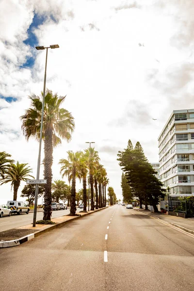 Kapstadt Südafrika Mai 2022 Palmenreihen Der Strandpromenade Von Sea Point — Stockfoto