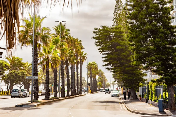 南アフリカのケープタウン 2022年5月12日 シーポイントビーチフロント通りのヤシの木の列 — ストック写真
