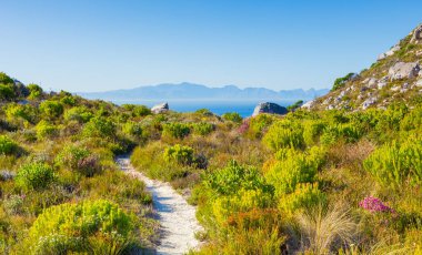 Cape Town sahilindeki bir dağın tepesindeki toprak patika yürüyüş yolları.