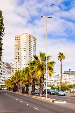 Cape Town, Güney Afrika - 12 Mayıs 2022: Sea Point plaj caddesinde sıra sıra palmiye ağaçları