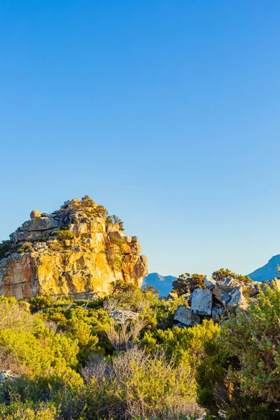 Rugged Mountain Landscape Fynbos Flora Cape Town South Africa — Φωτογραφία Αρχείου