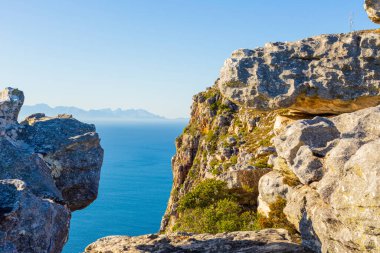 Cape Town, Güney Afrika 'daki Fynbos Flora ile sahil dağ manzarası