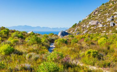 Cape Town sahilindeki bir dağın tepesindeki toprak patika yürüyüş yolları.