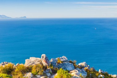 Cape Town, Güney Afrika 'daki Fynbos Flora ile sahil dağ manzarası