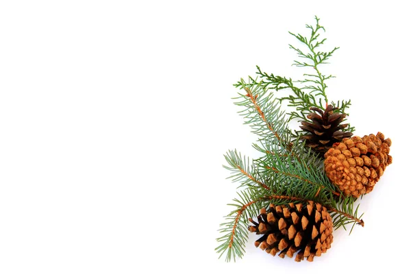 Christmas background with fir branches and cones — Stock Photo, Image