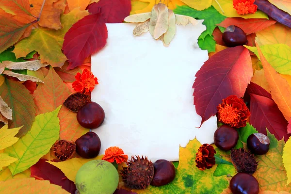 Sonbahar yaprakları, kestane ve marigolds arka plan — Stok fotoğraf