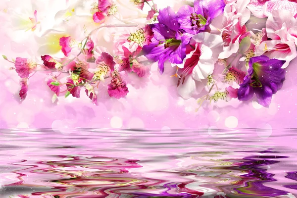 Elegant flowers over the water — Stock Photo, Image