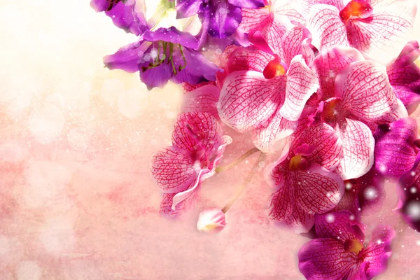 Προσφορά μπουκέτο λουλούδια σε ένα χαριτωμένο ροζ φόντο — Φωτογραφία Αρχείου