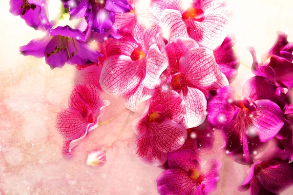 Shiny festive bouquet of flowers — Stock Photo, Image