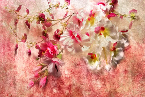 グランジ スタイルで美しい蘭の花 — ストック写真