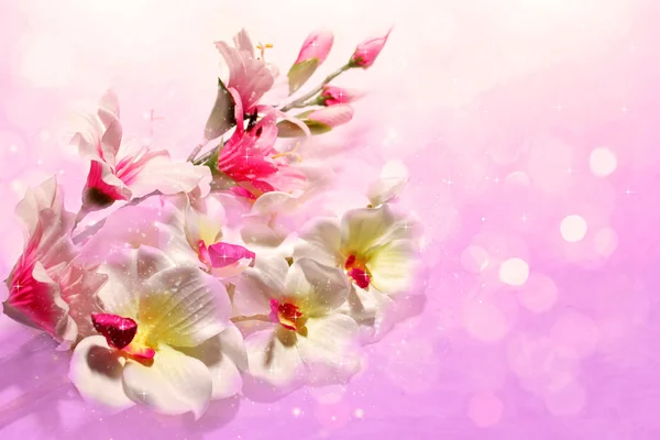 Букет солодких квітів на м'якому бузковому фоні — стокове фото