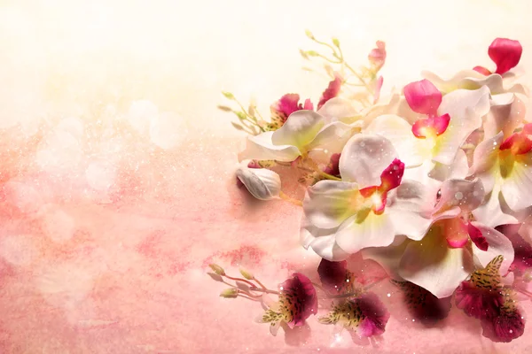 软的粉红色背景上的白色兰花的花束 — 图库照片