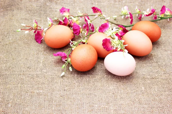 Huevos de Pascua sobre un fondo de saco con flores — Foto de Stock