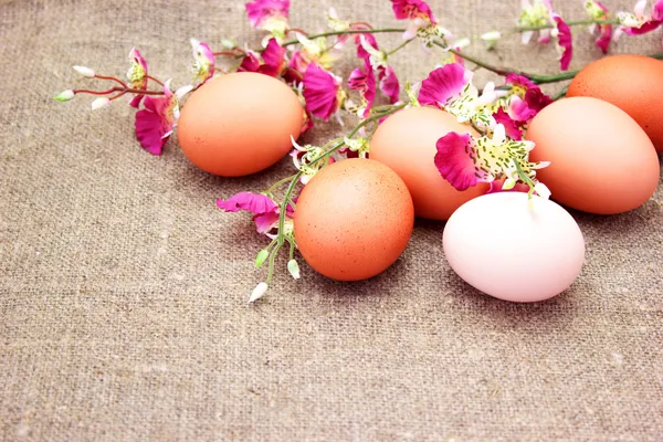 Huevos de Pascua y una ramita de flores — Foto de Stock