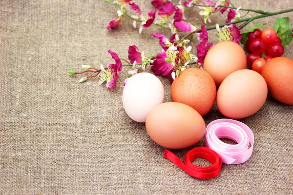 Påskägg och vårblommor — Stockfoto