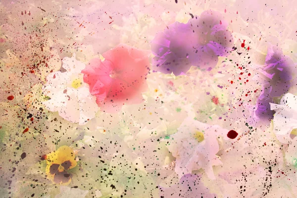 Flowers with watercolor splatter — Stock Photo, Image