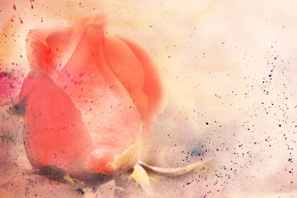 Red rose and watercolor splashes — Stock Photo, Image