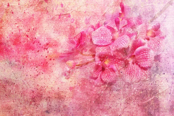 Pink orchids on a grunge pink watercolor background — Stock Photo, Image