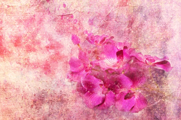 Purple orchids on a messy pink background — Stock Photo, Image