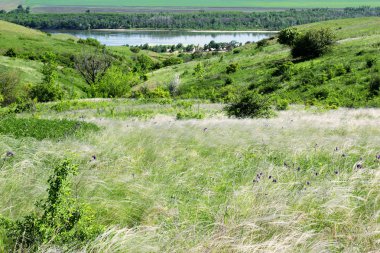 Yaz dağlık manzara