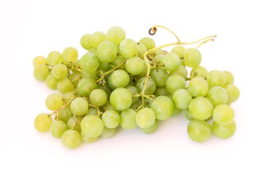 izole üzüm