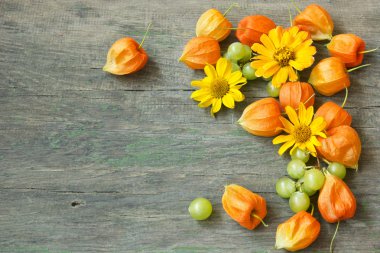 cape bektaşi, üzüm ve çiçek güzel sonbahar arka plan