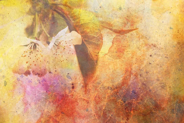 Obra de arte com frágeis flores de macieira e traços de aquarela — Fotografia de Stock