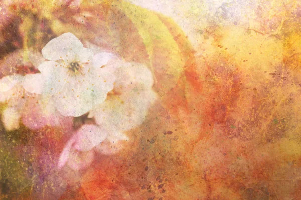 Bela obra de arte com delicadas flores de macieira e traços de aquarela — Fotografia de Stock