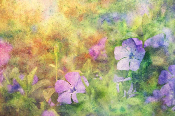 Bela obra de arte com flores lilás e traços de aquarela — Fotografia de Stock