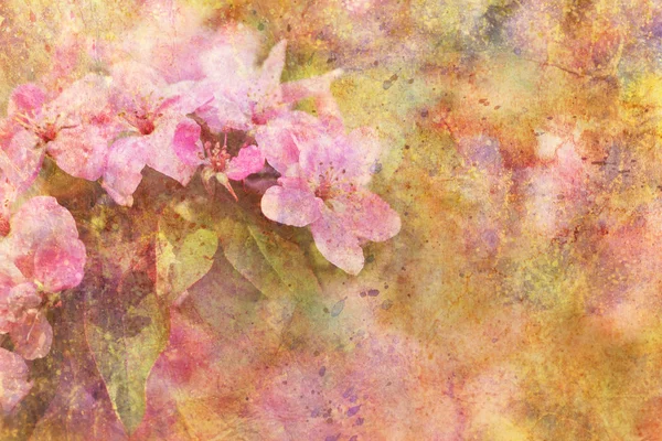 Obra de arte com belas flores rosa e respingos de aquarela — Fotografia de Stock