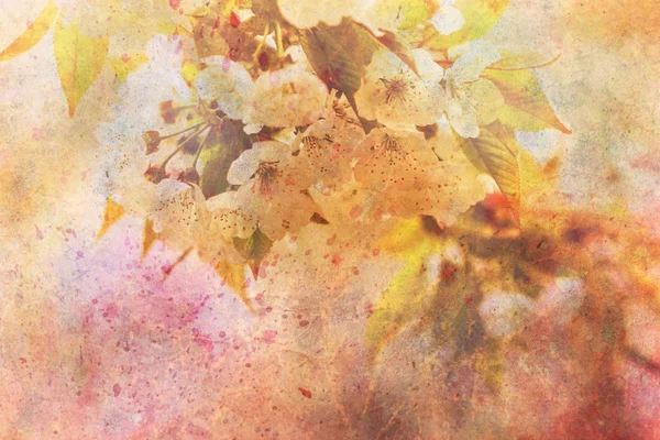 Grafika, akvarell stroke és finom apple tree virágok — Stock Fotó