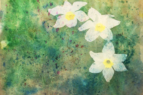 Beautiful artwork with white cute flowers and splashes of watercolor — Stock Photo, Image