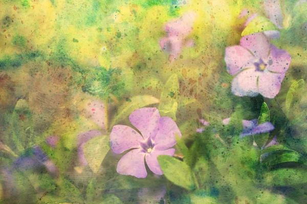 Oeuvre avec des fleurs lilas et des éclaboussures d'aquarelle — Photo