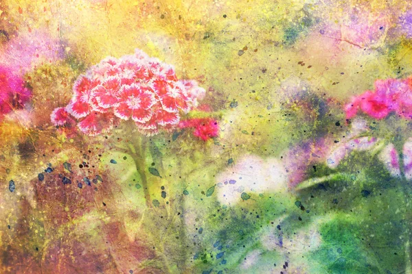 Garden red flowers and abstract colorful watercolor smudges — Stock Photo, Image