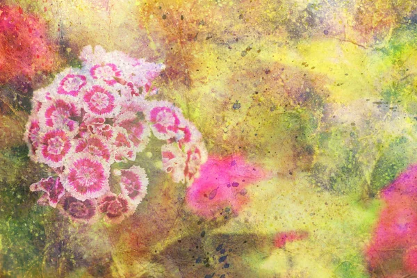 Trädgård blommor och abstrakt färgstark akvarell splatter — Stockfoto